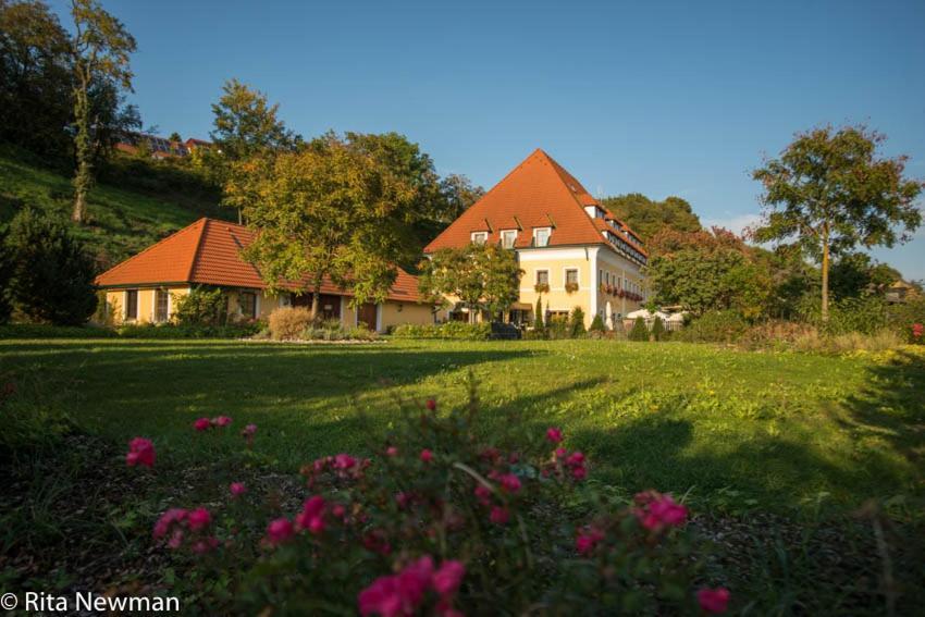 Landhotel Wachau Emmersdorf an der Donau Zewnętrze zdjęcie